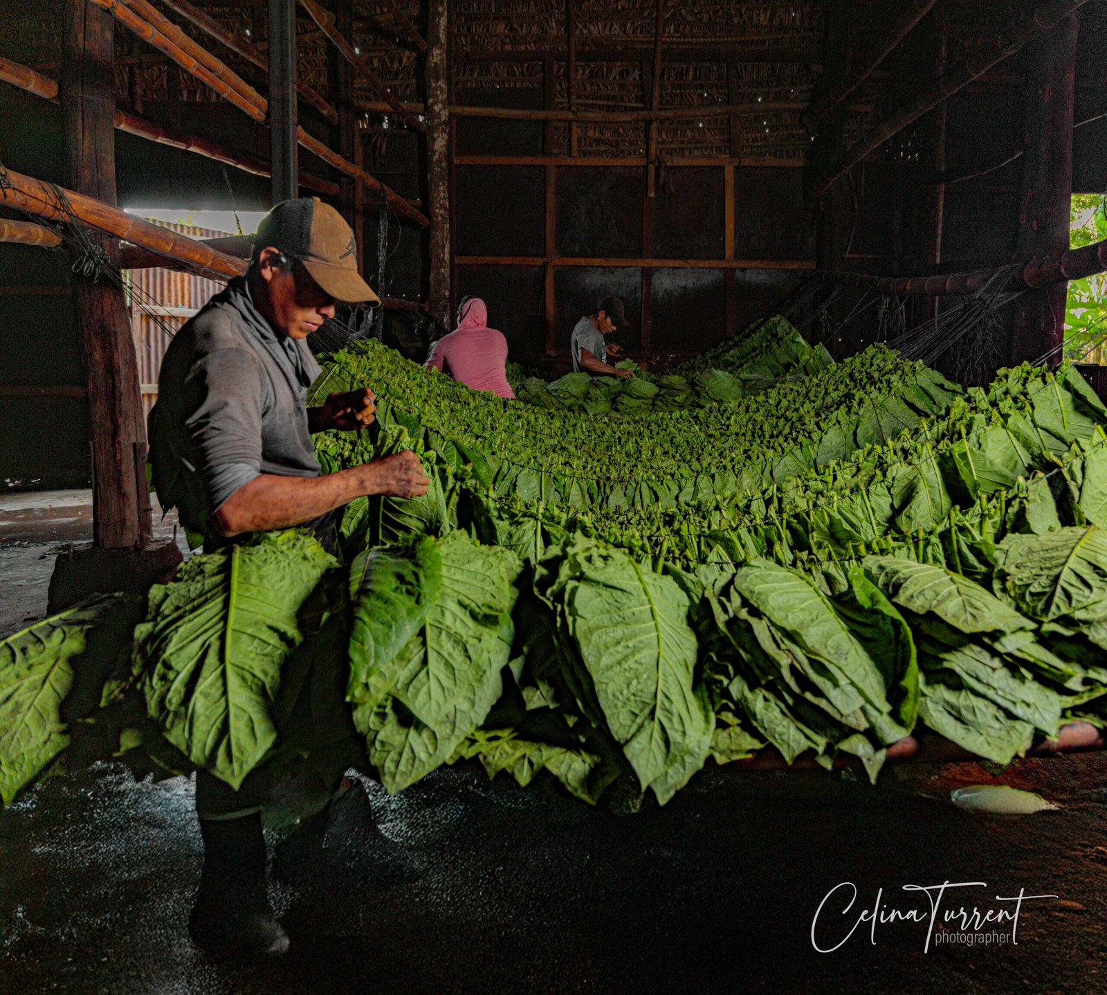 R6M29457-Edit-2 copia